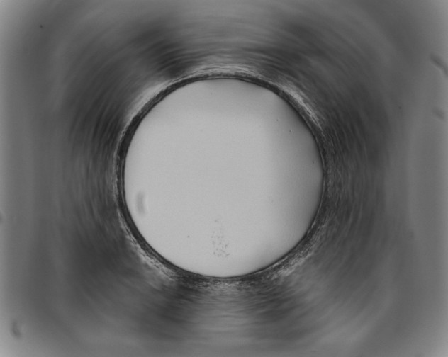X0000096461038200802211121