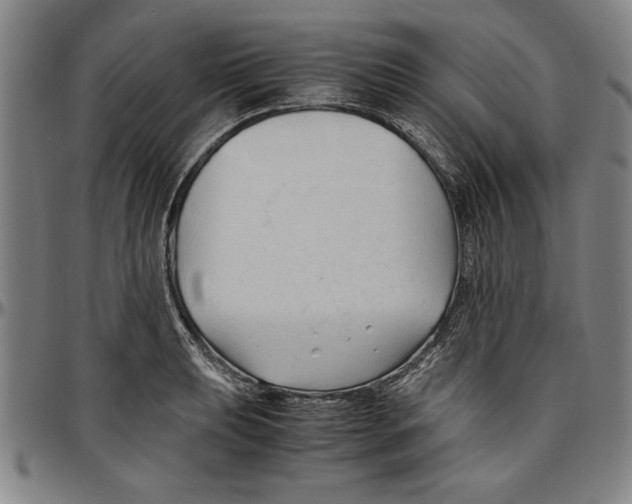 X0000096461039200802211121