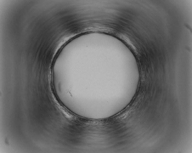 X0000096461040200802211121