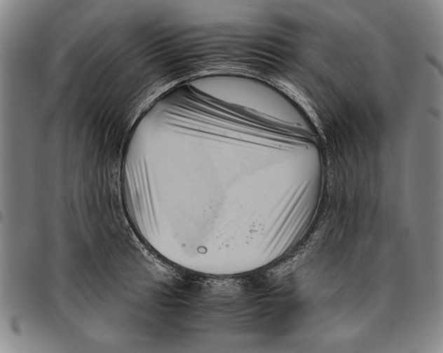X0000096461041200802211121