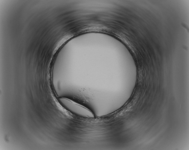 X0000096461042200802211121