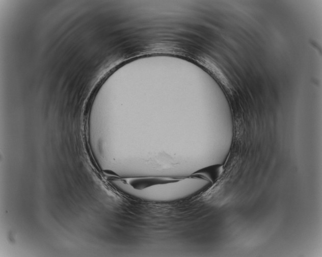 X0000096461043200802211121