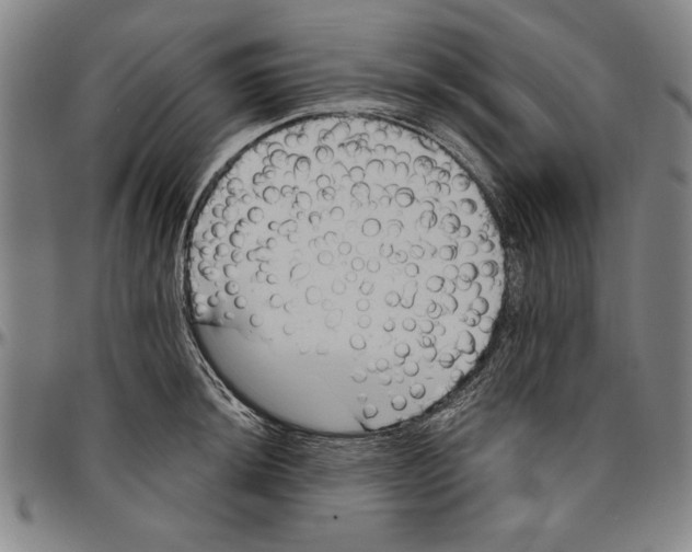 X0000096461044200802211121