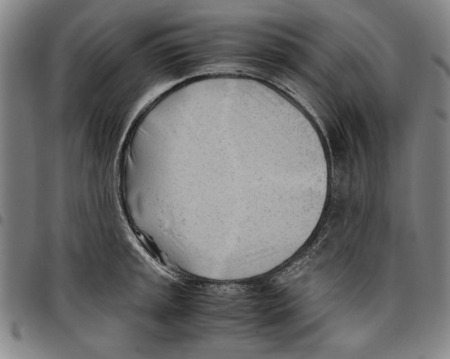 X0000096461045200802211121
