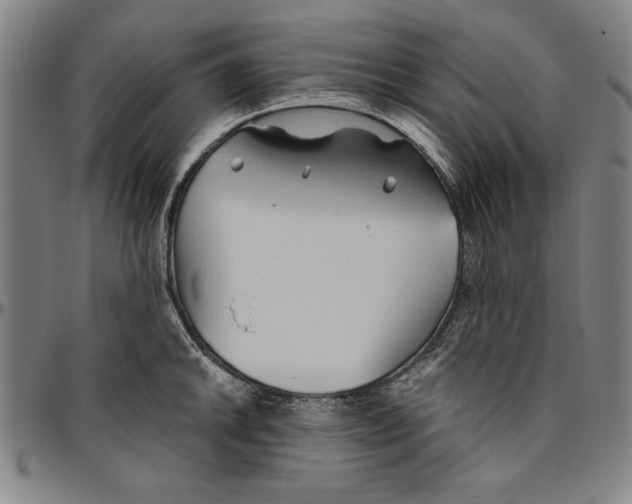X0000096461046200802211121
