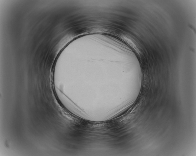 X0000096461047200802211121