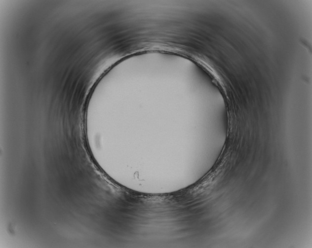 X0000096461048200802211121