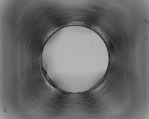 X0000096461049200802211121