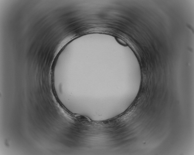 X0000096461050200802211121