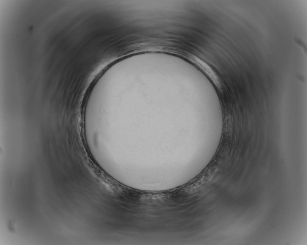 X0000096461051200802211121