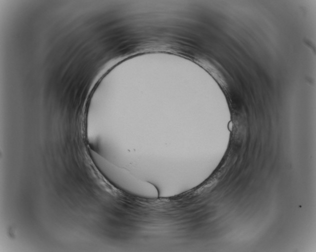 X0000096461052200802211121