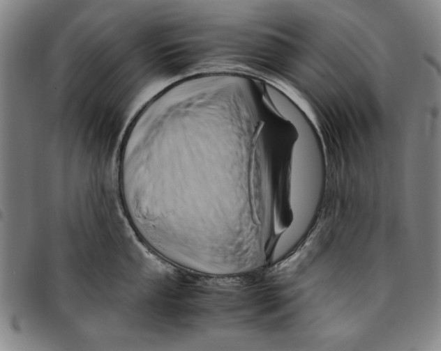 X0000096461053200802211121