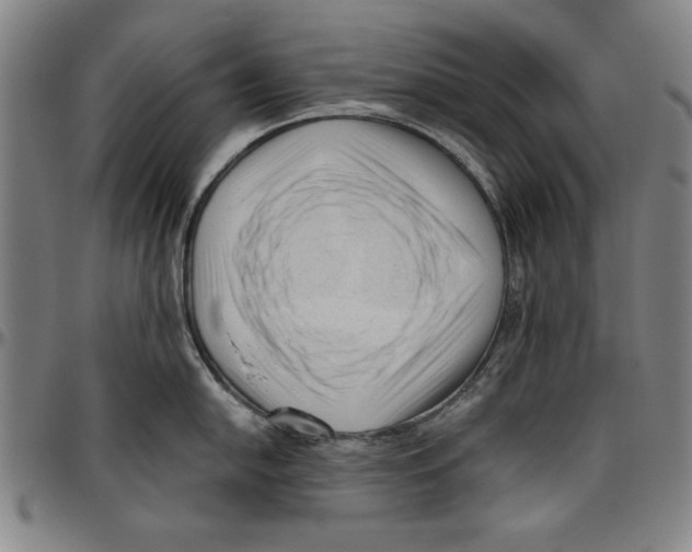 X0000096461054200802211121