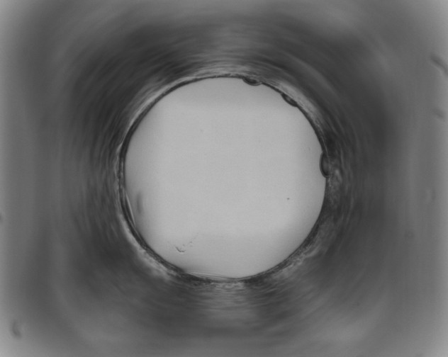 X0000096461055200802211121