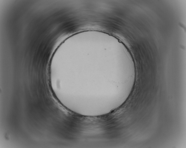 X0000096461056200802211121