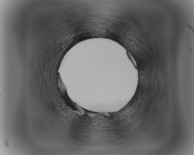 X0000096461057200802211120