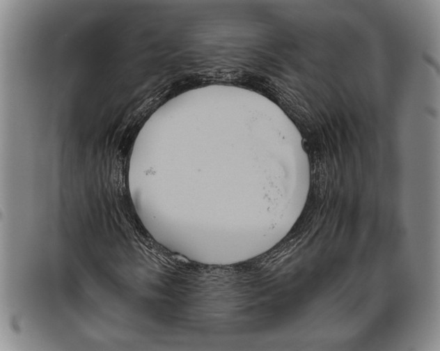 X0000096461058200802211120