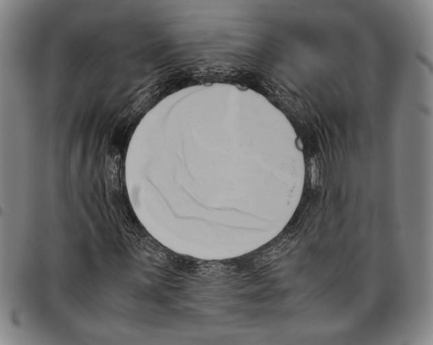 X0000096461059200802211120