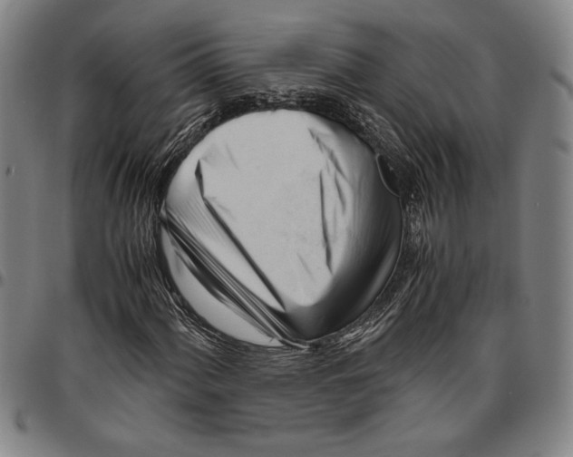 X0000096461060200802211120