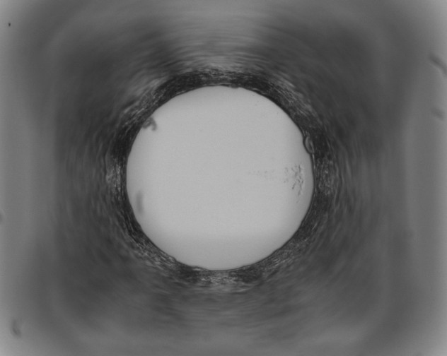 X0000096461061200802211120