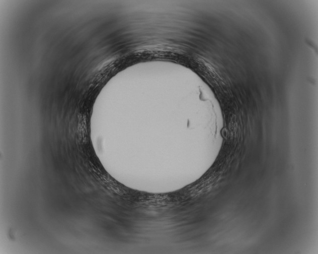 X0000096461062200802211120