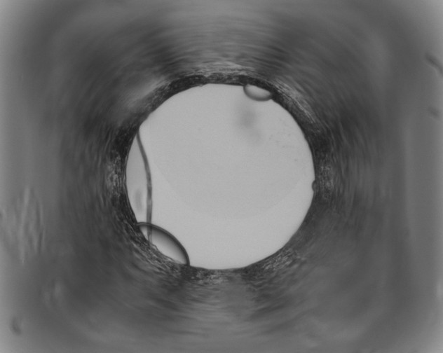 X0000096461063200802211120