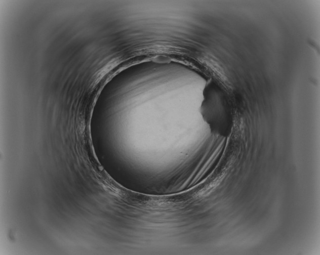 X0000096461065200802211120
