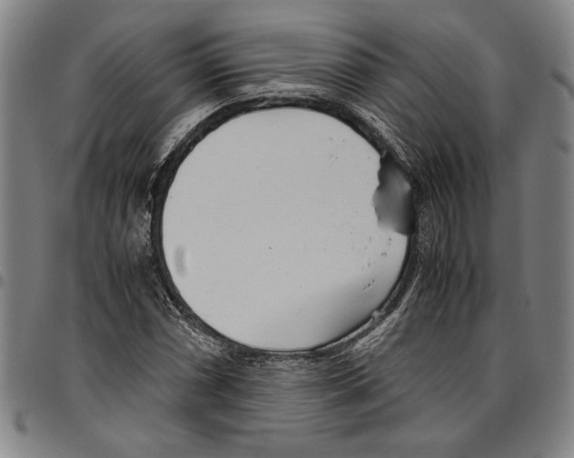 X0000096461066200802211120