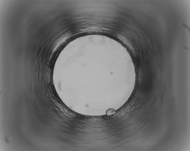 X0000096461067200802211120