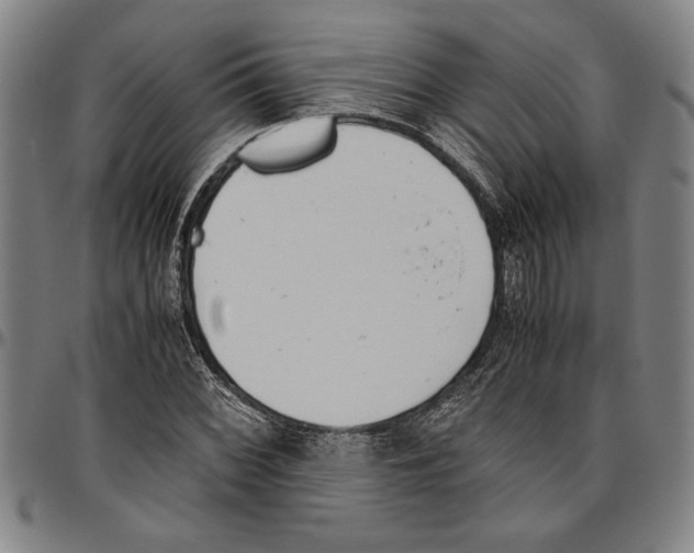 X0000096461068200802211120