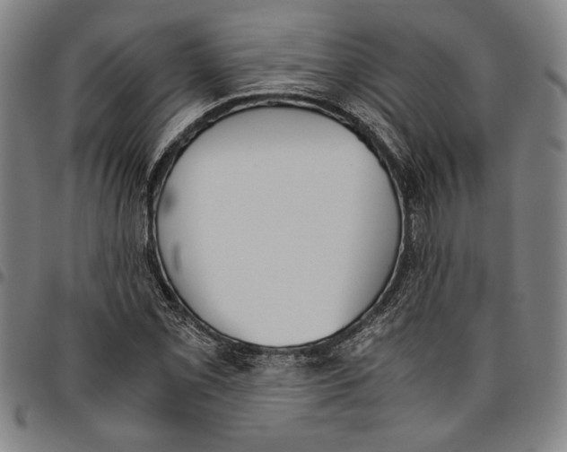 X0000096461069200802211120