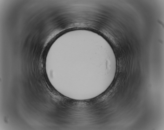 X0000096461070200802211120