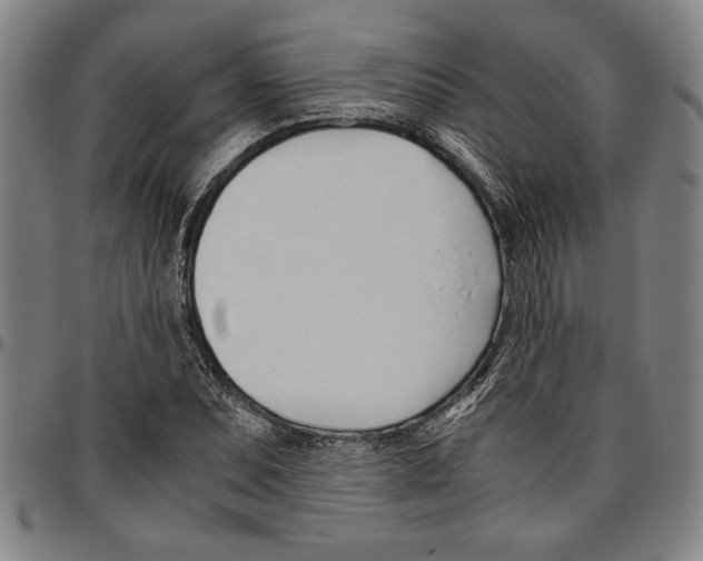 X0000096461071200802211120