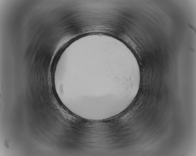 X0000096461072200802211120