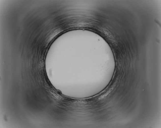 X0000096461073200802211120