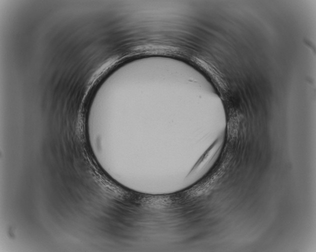 X0000096461074200802211120