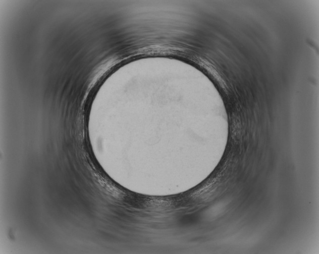 X0000096461075200802211120