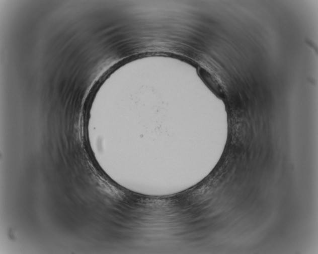 X0000096461076200802211120