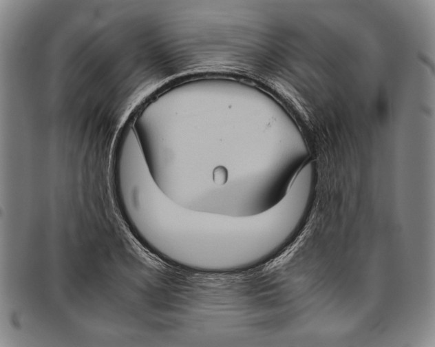 X0000096461077200802211120