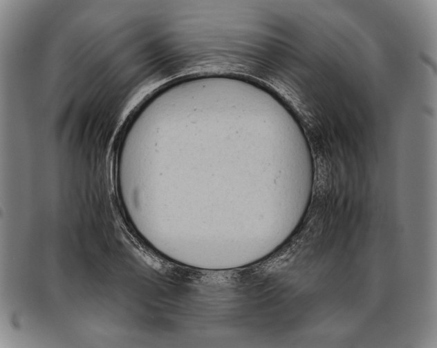 X0000096461078200802211120