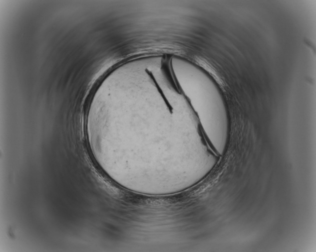 X0000096461079200802211120