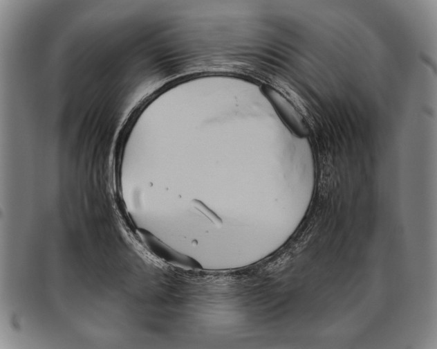 X0000096461080200802211120