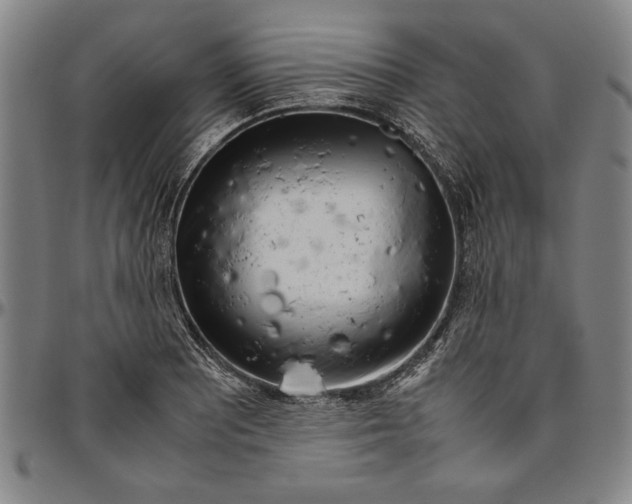 X0000096461081200802211120