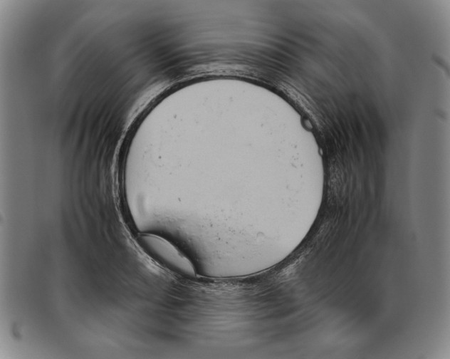 X0000096461082200802211120