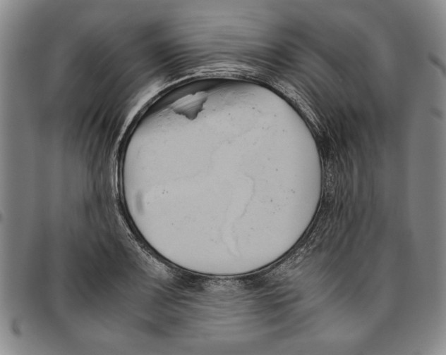 X0000096461083200802211120