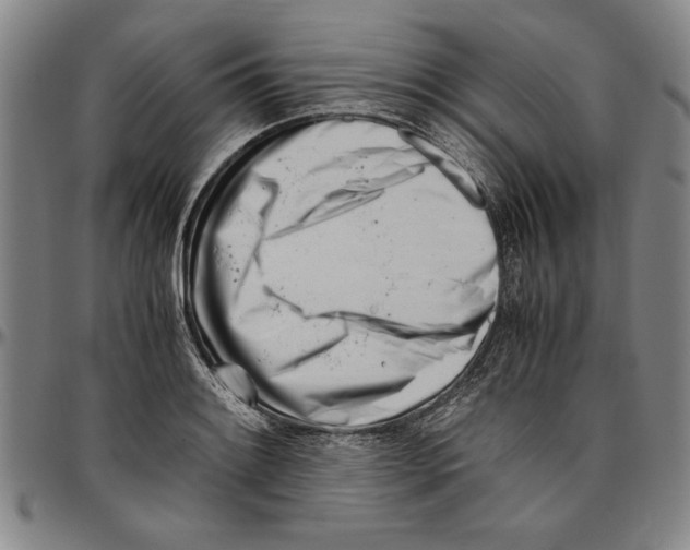X0000096461084200802211120
