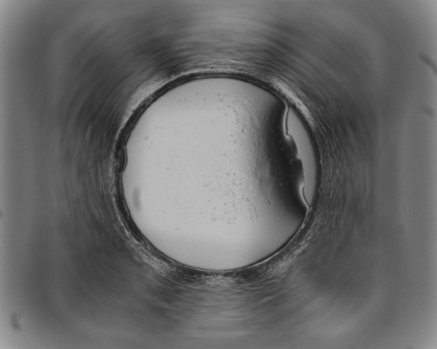 X0000096461085200802211120