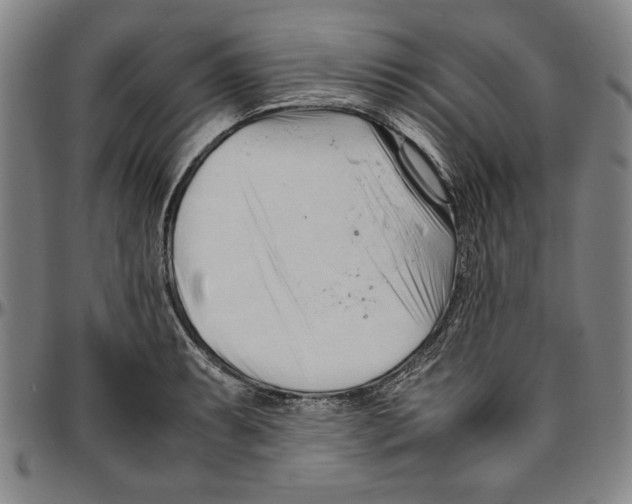X0000096461087200802211120