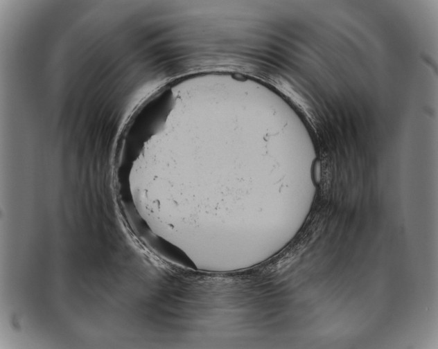 X0000096461088200802211120