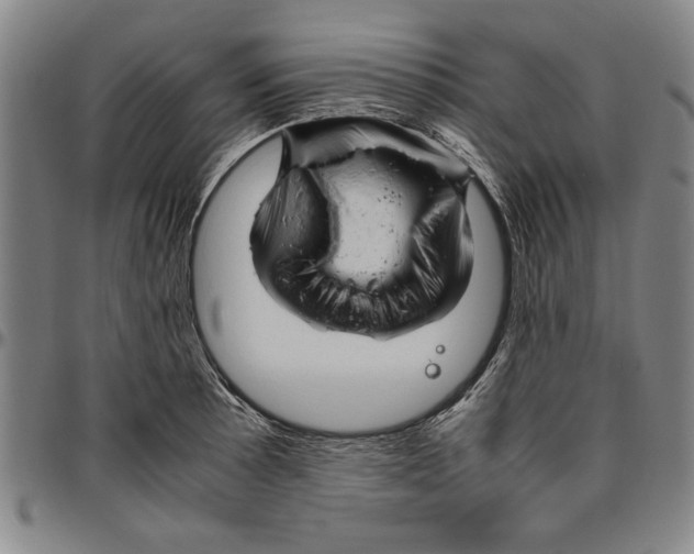 X0000096461089200802211120